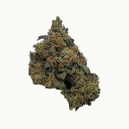 Indico - Zkittlez Ice Cream - 1