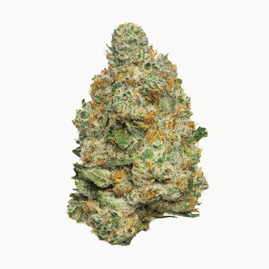 Proper Cannabis - Proper Cannabis - Apple Fritter | 3.5g - 1