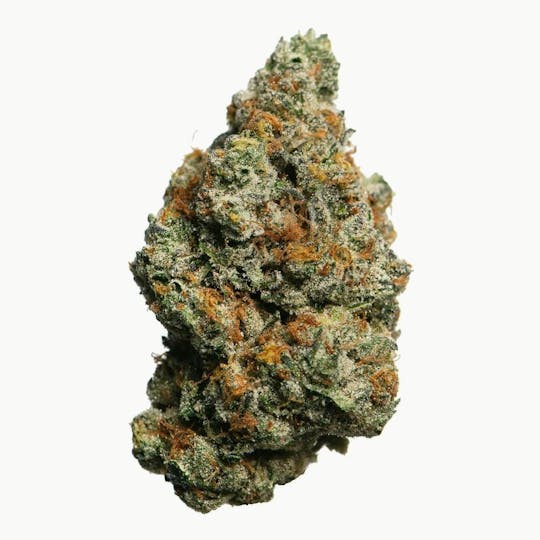 Proper Cannabis - Proper Cannabis - Biscotti | 1g - 1