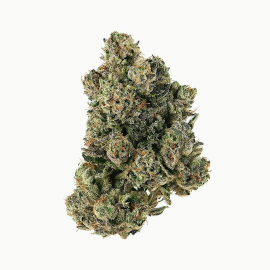 Proper Cannabis - Proper Cannabis - Black Eye Katy | 1g - 1