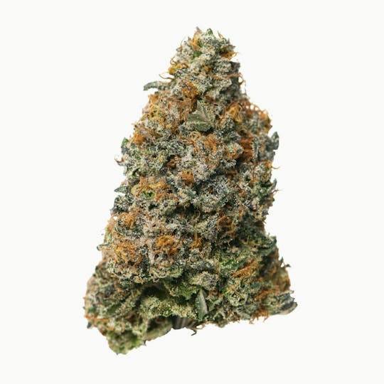 Proper Cannabis - Proper Cannabis - Bordello |3.5g - 1