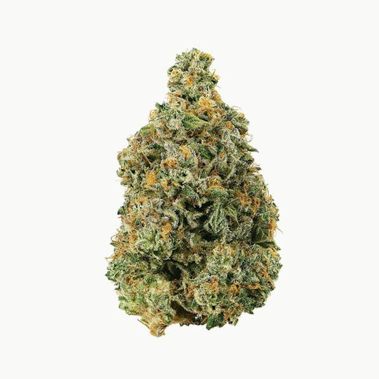 Proper Cannabis - Proper Cannabis - Elroy | 1g - 1