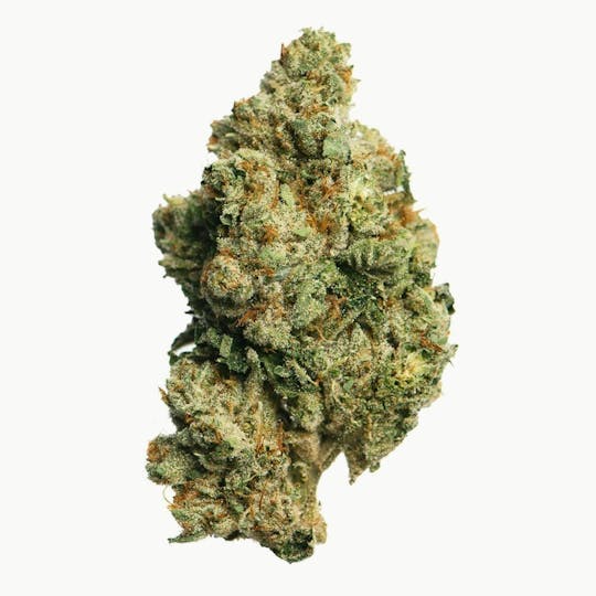 Proper Cannabis - Proper Cannabis - Ghost OG | 14g - 1