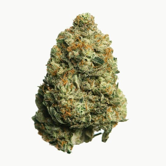 Proper Cannabis - Proper Cannabis - Horchata | 3.5g - 1