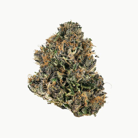 Proper Cannabis - Proper Cannabis - Mai Tai | 7g - 1