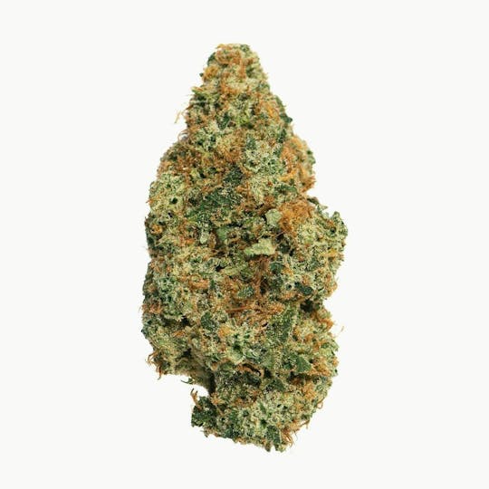 Proper Cannabis - Proper Cannabis - Mango Haze | 14g - 1