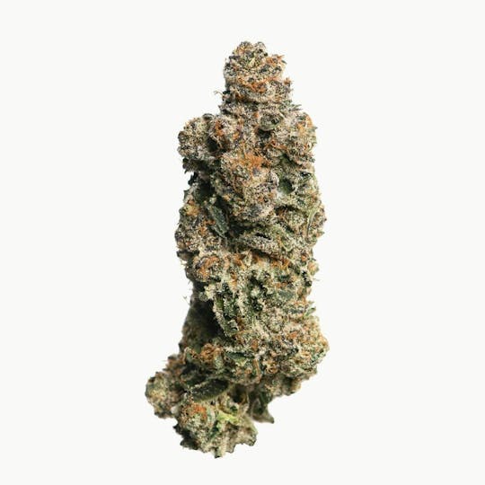 Proper Cannabis - Proper Cannabis - Sunny D | 3.5g - 1