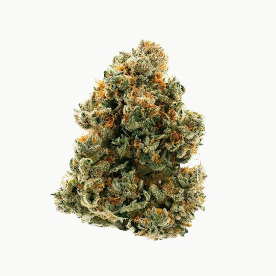 Proper Cannabis - Proper Cannabis - WiFi OG | 3.5g - 1
