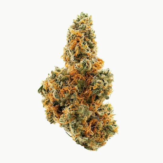 Proper Cannabis - Proper Cannabis - Durban Poison | 1g - 1