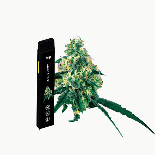 Drip Vapes Drip 2g All In One - Green Crack (Sativa)