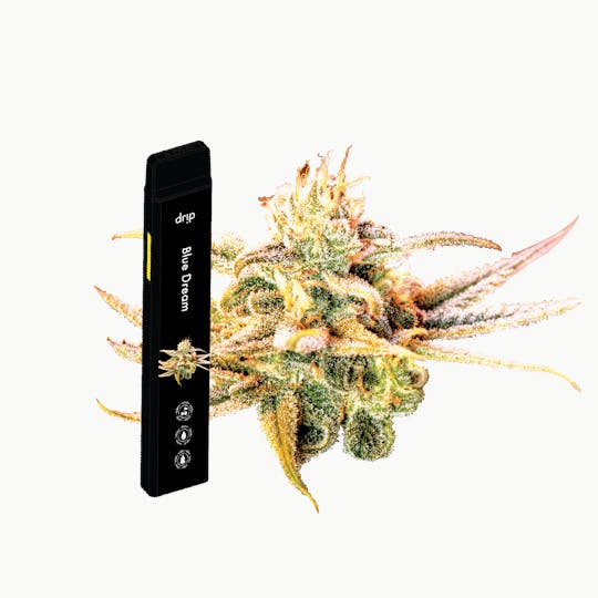 Drip Vapes - Drip 2g All In One - Blue Dream (Sativa) - 1