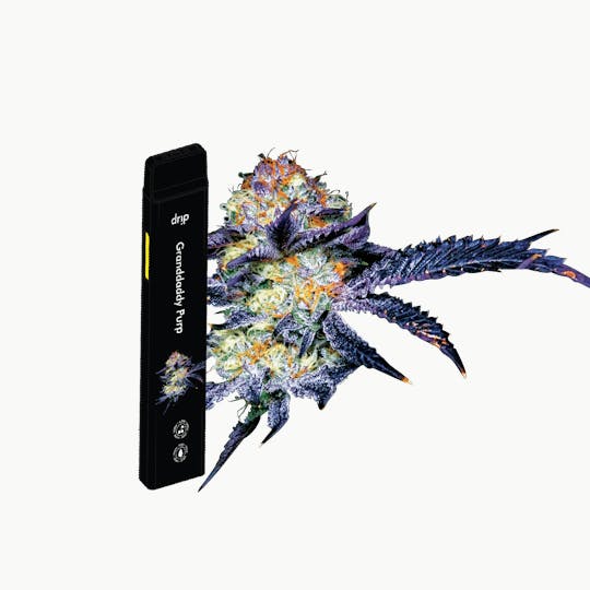 Drip Vapes - Drip 2g All In One - Granddaddy Purple (Indica) - 1