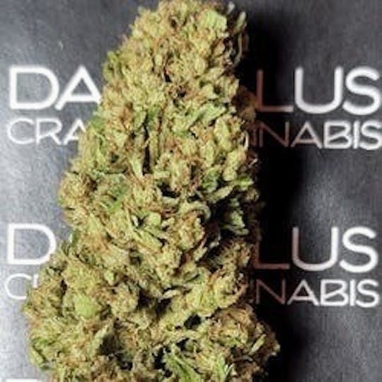 Daedalus Craft Cannabis - $75 Ounce of the Day - NYPD x GSC - SMALLS ONLY - 1