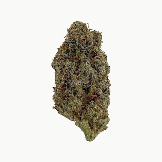 Indico - Gelato -$100 oz - 1