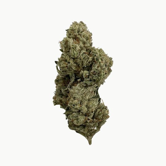 Indico - Sticky Glue - Pine Tree Apothecary - 1
