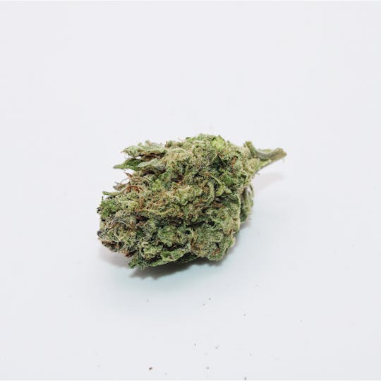 Trusty Transportations - Jealousy 1 Gram (32% THC HYBRID) - 1