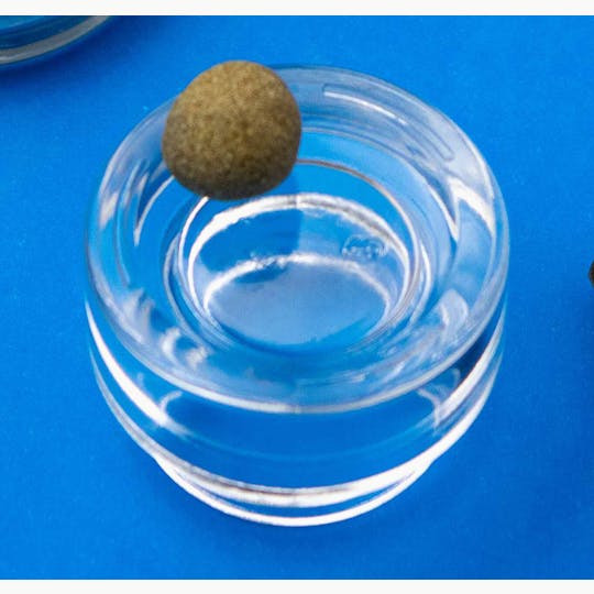 Trusty Transportations - White Widow Temple Ball Gram (73% THC, HYBRID) - 1