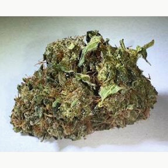 PONO LIFE MAUI - Super Glue - 1