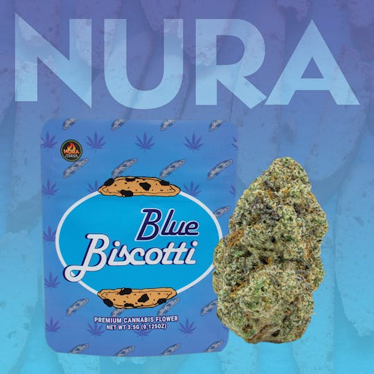 Nura - Blue Biscotti - 1