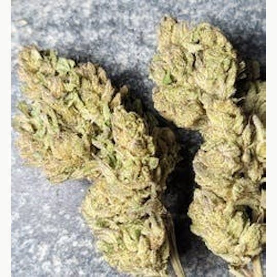Daedalus Craft Cannabis - $75 Ounce of the Day - Litre a' Cola - SMALLS ONLY - 1