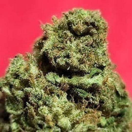 Daedalus Craft Cannabis - $75 Ounce of the Day - Helena - SMALLS ONLY - 1