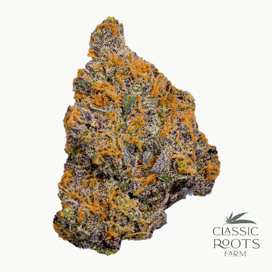 Classic Roots Farm - Apple Jax - 1