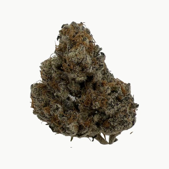Indico - Hell's Angel OG X Cookies & Cream - Pride Cannabis - 1