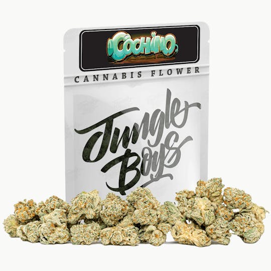 Jungle Boys - Jungle Boys | Cochino - 10g Smalls - 1