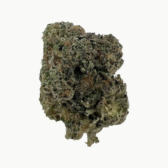 Indico - Pink Certz - 1