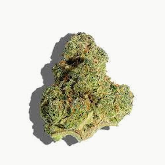 Cannafeen - WHITE APPLE TARTZ - 1