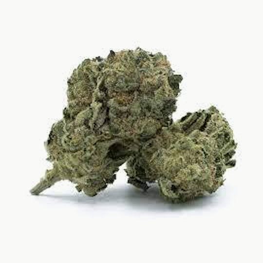 Cannafeen - MAC 1 - 1