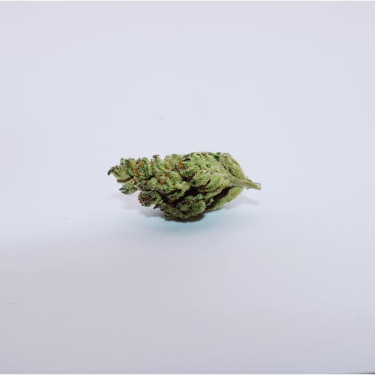 Trusty Transportations - First Class Funk Ounce/28.3Grams (31% THC, INDICA) - 1