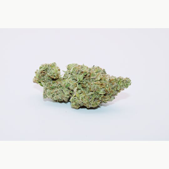 Trusty Transportations - Gelato Jet Fuel Ounce/28.3Grams (31% THC, HYBRID) - 1