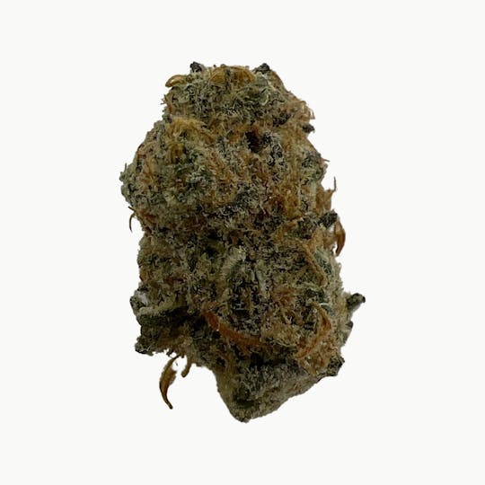 Indico - Pennywise - 1
