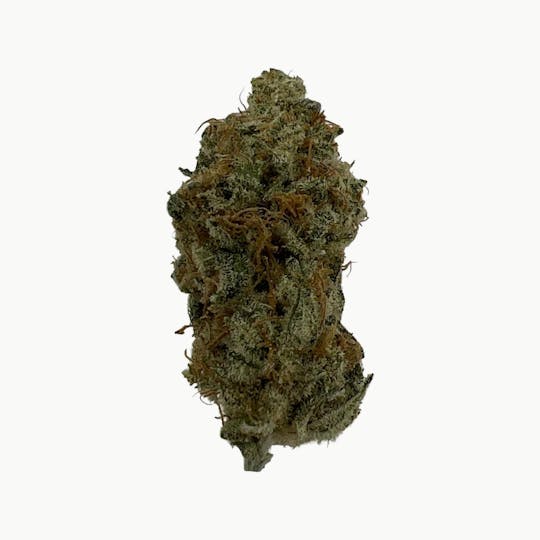 Indico - Blueberry - 1