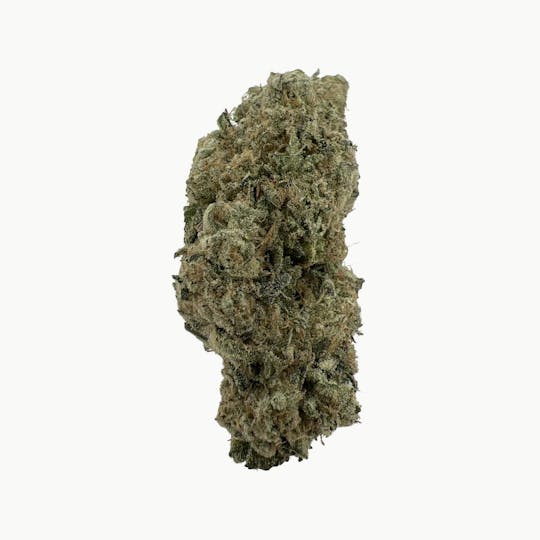 Indico - Gelato Cake - 1