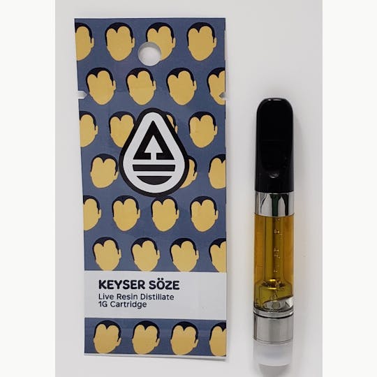 Fresh Coast - SPLASH Live Resin Distillate Cartridge 1G | Keyser Soze OG - 1