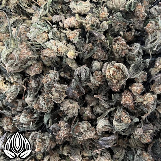 Peak Maine Cannabis - Economy - Outlaw Cookies - Peak Maine - 1