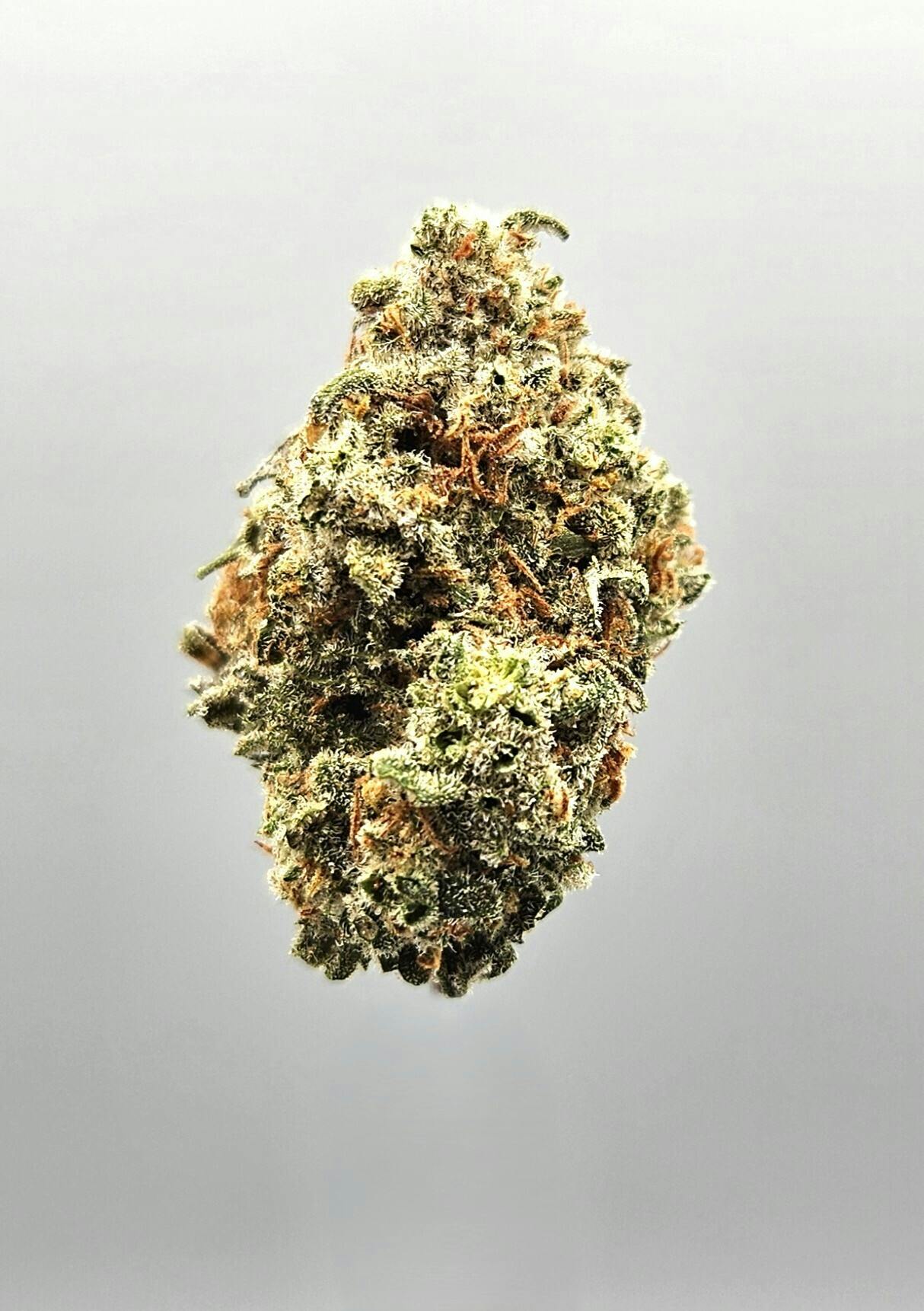 Ripple Wellness - Flower - Tier 1 - Second Breakfast #20 - 1