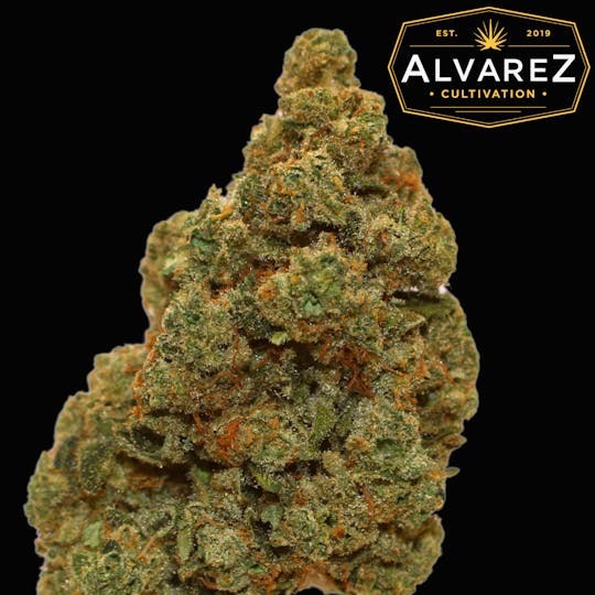 Alvarez Cultivation - Lemon Mints - 1
