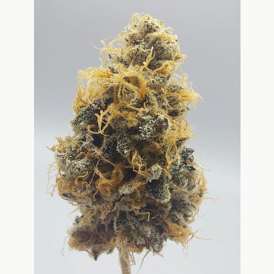Ripple Wellness - Flower - Tier 1 - Loose Lucy #3 - 1