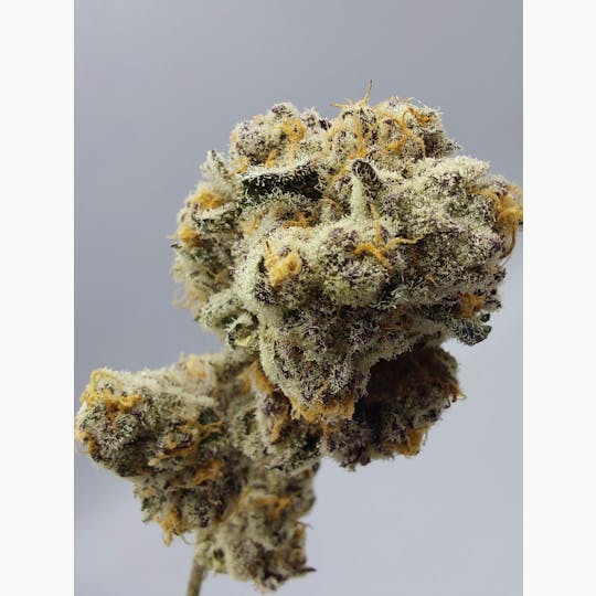 Ripple Wellness - Flower - Tier 2 - PB Soufflé #2 - 1