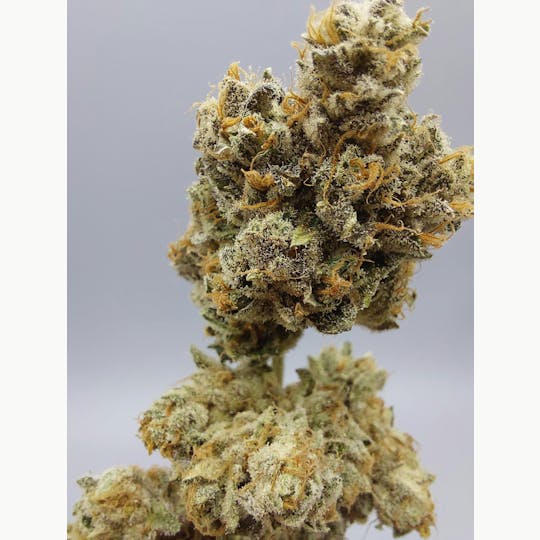Ripple Wellness - Flower - Tier 1 - Green Fire OG #9 - 1