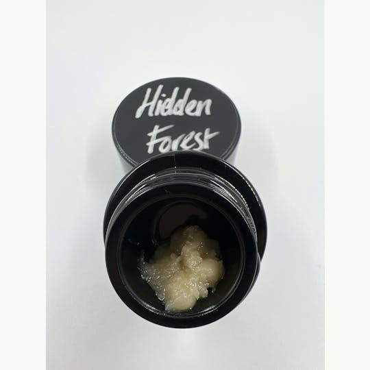 Indico - ZCubed - Hidden Forest - 1