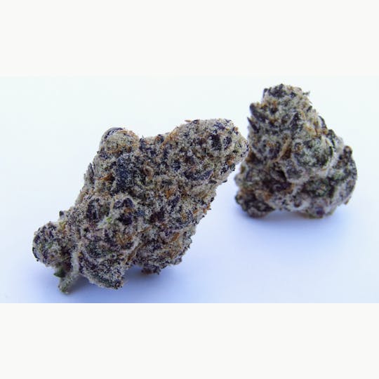 Animal - Chocolate Lava - Hybrid - 32% THC - 1