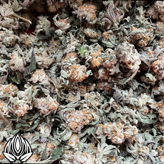 Peak Maine Cannabis - Economy - Barry Payton- Peak Maine - 1