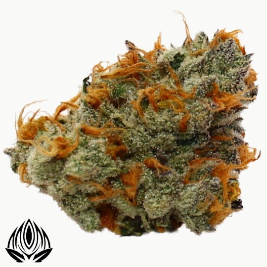 Peak Maine Cannabis - Barry Payton # 2 - Peak Maine - 1