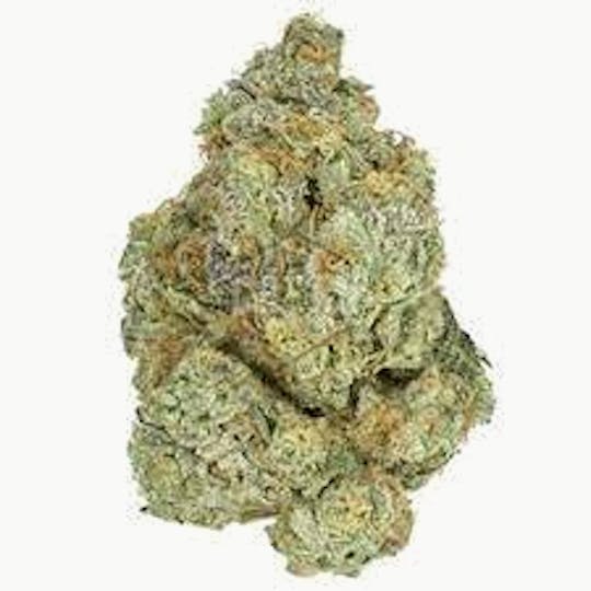 Cannafeen - GODFATHER OG - 1
