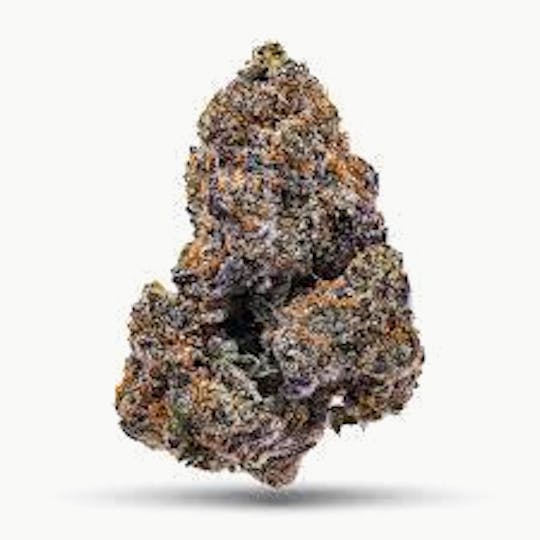 Cannafeen - LEMON CHERRY GELATO - 1
