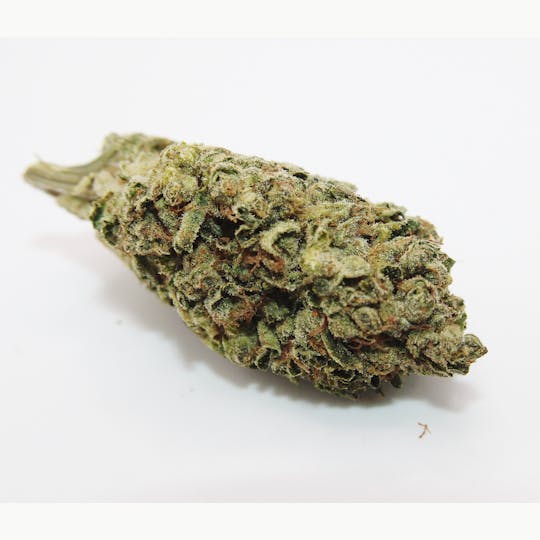 Trusty Transportations - Key Lime Pie 8th/3.5Grams (25% THC, HYBRID) - 1
